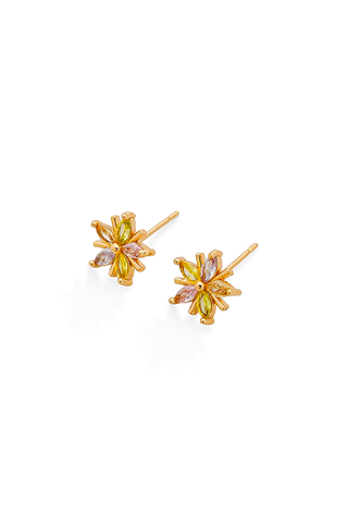 SET X6 TOPOS FLOR - 186C