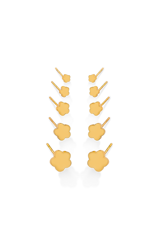 SET X5 TOPOS FLORES