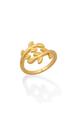 ANILLO RAMA