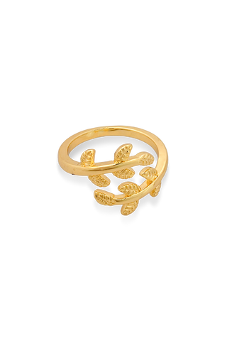 ANILLO RAMA - 348B