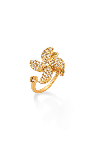 ANILLO MOLINO DE VIENTO