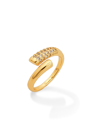 ANILLO UNIDO