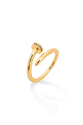 ANILLO CLAVO